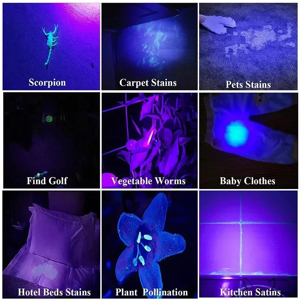 395nm UV Pen Flashlight, Blacklight Flashlight w/ Clip Portable Detector